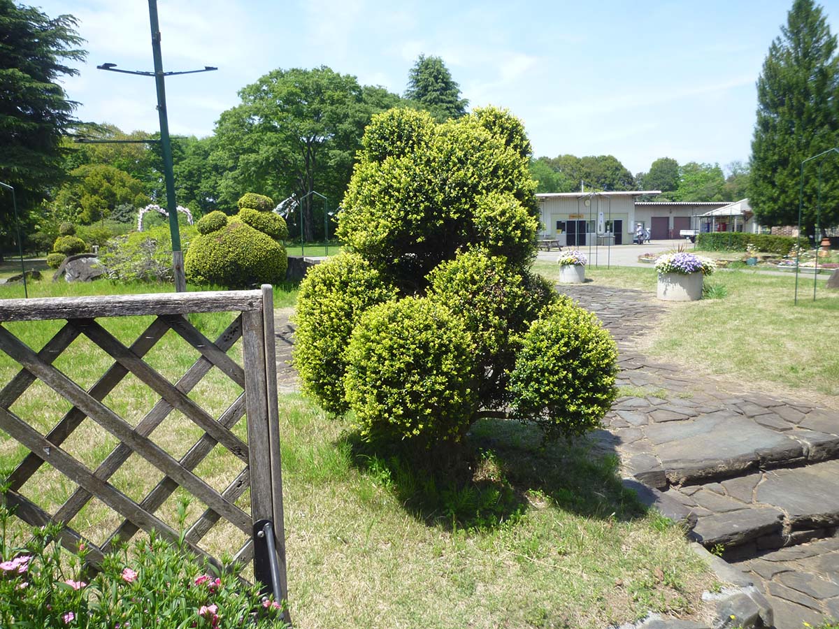 埼玉県委託公共職業訓練 造園 講座入校生募集