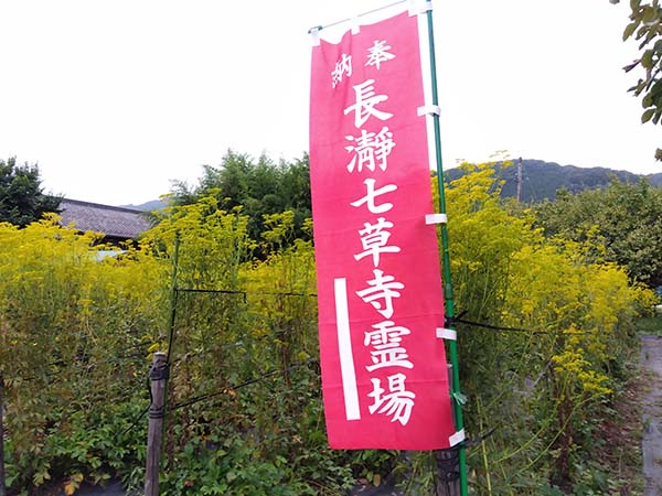 長瀞「秋の七草寺巡り」