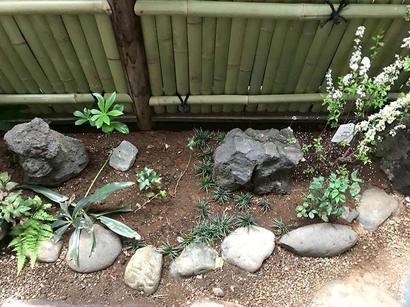 平菊会会員の造園作業 野田(H29前期)