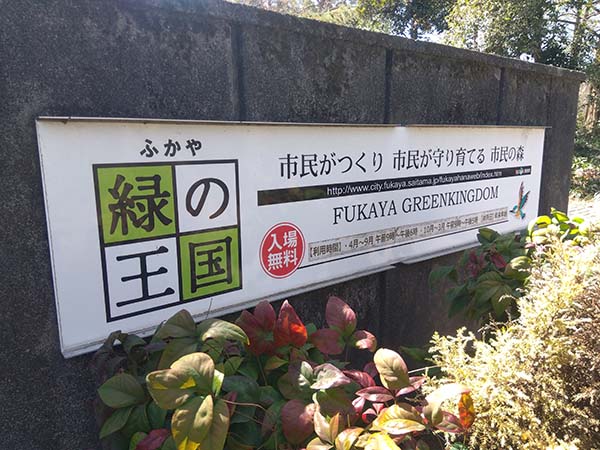 ふかや緑の王国 3月の風景